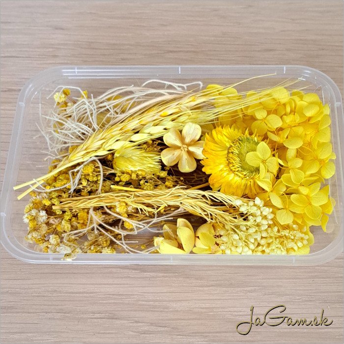 Mix sušených kvetov pre tvorenie (DS025)